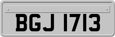 BGJ1713