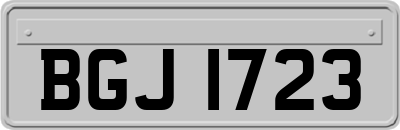BGJ1723