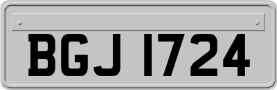 BGJ1724