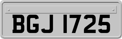 BGJ1725