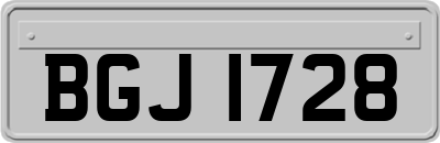 BGJ1728