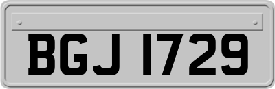 BGJ1729