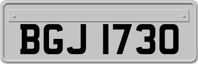 BGJ1730