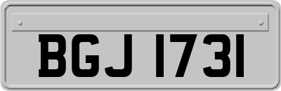 BGJ1731