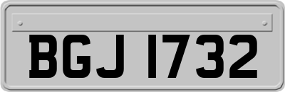 BGJ1732