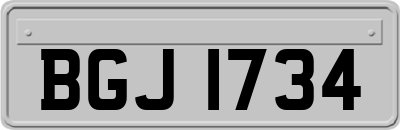 BGJ1734