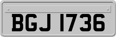 BGJ1736