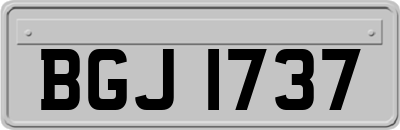 BGJ1737