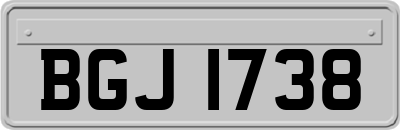 BGJ1738