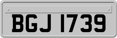 BGJ1739