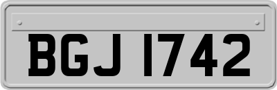BGJ1742