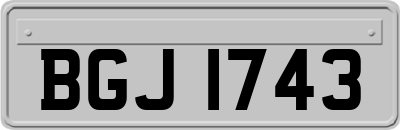 BGJ1743