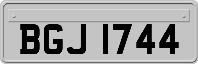 BGJ1744