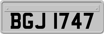 BGJ1747