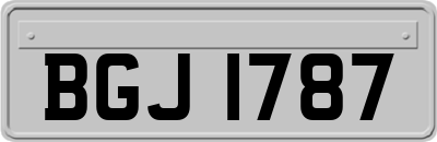 BGJ1787