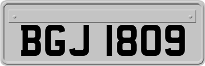 BGJ1809