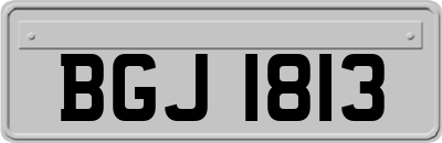 BGJ1813