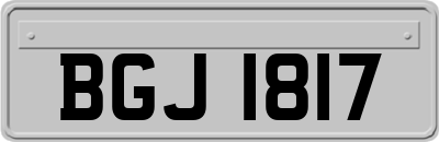 BGJ1817