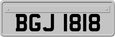 BGJ1818