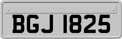 BGJ1825