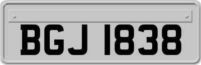 BGJ1838
