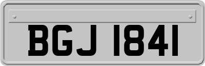 BGJ1841