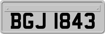 BGJ1843