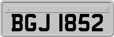 BGJ1852