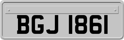 BGJ1861
