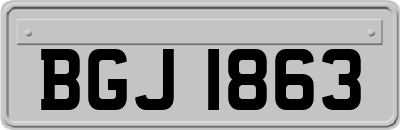 BGJ1863