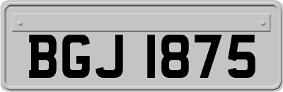 BGJ1875