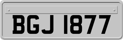 BGJ1877