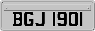 BGJ1901