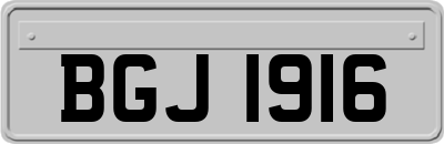 BGJ1916
