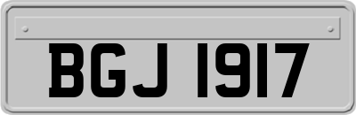 BGJ1917