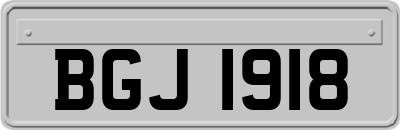 BGJ1918