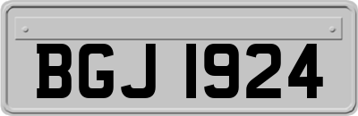 BGJ1924