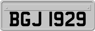 BGJ1929