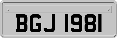 BGJ1981