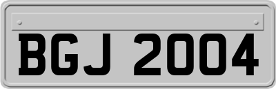 BGJ2004