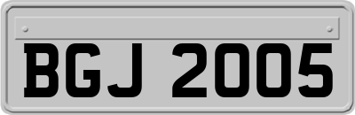BGJ2005