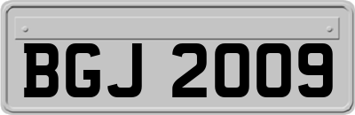 BGJ2009