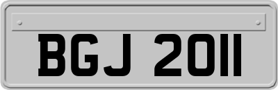 BGJ2011