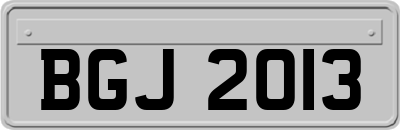 BGJ2013