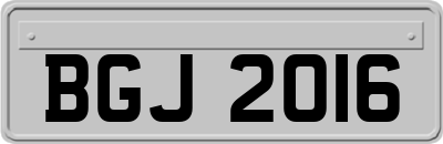 BGJ2016