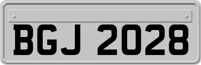 BGJ2028