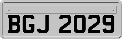 BGJ2029