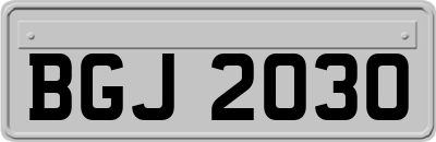 BGJ2030
