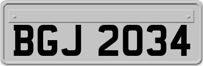 BGJ2034