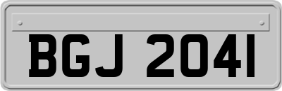 BGJ2041